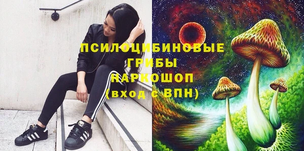 мет Вяземский