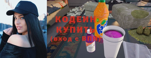 прущие грибы Вязники