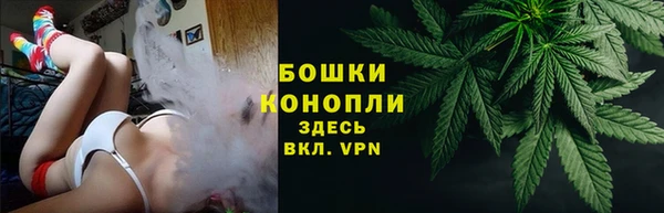 прущие грибы Вязники