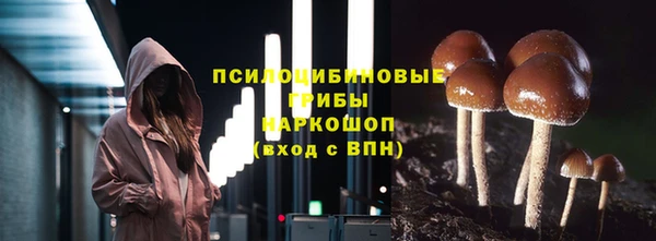 трава Вязьма