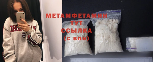 прущие грибы Вязники