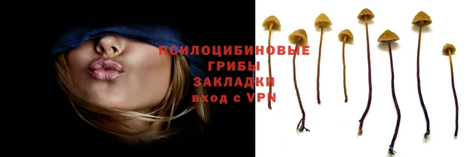 mdpv Горняк