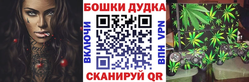 Бошки марихуана ГИДРОПОН  Купить закладки  Усть-Илимск 